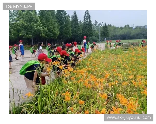 围绕绿茵激情与球类电影交织的运动魅力全景深入探索之旅体验篇章
