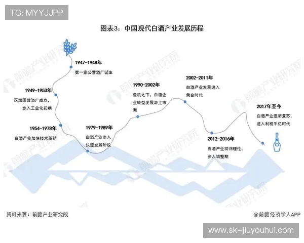 深度解析全球足球豪门崛起格局与未来多维竞争态势发展研究趋势探